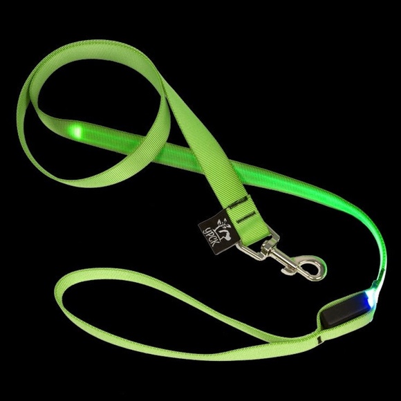 YPCK Other - NWT Led Dog Leash